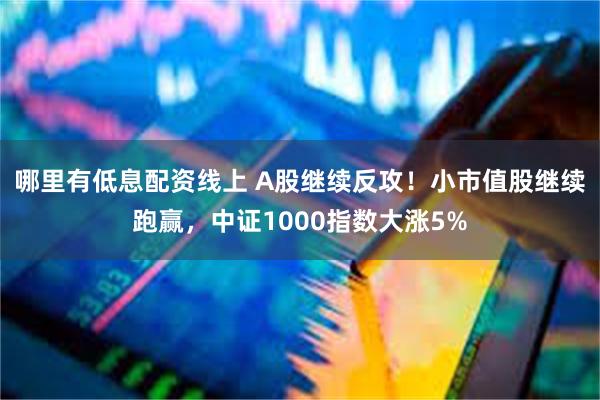 哪里有低息配资线上 A股继续反攻！小市值股继续跑赢，中证1000指数大涨5%