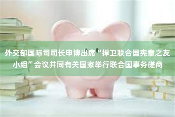 外交部国际司司长申博出席“捍卫联合国宪章之友小组”会议并同有关国家举行联合国事务磋商