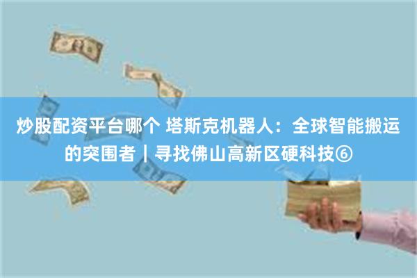 炒股配资平台哪个 塔斯克机器人：全球智能搬运的突围者｜寻找佛山高新区硬科技⑥