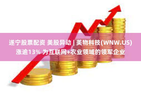 遂宁股票配资 美股异动 | 美物科技(WNW.US)涨逾13% 为互联网+农业领域的领军企业