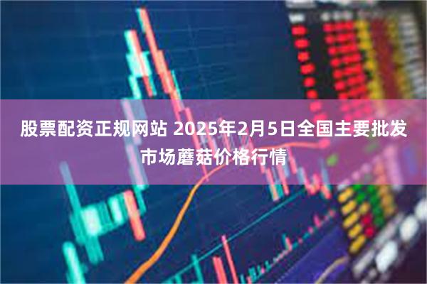 股票配资正规网站 2025年2月5日全国主要批发市场蘑菇价格行情