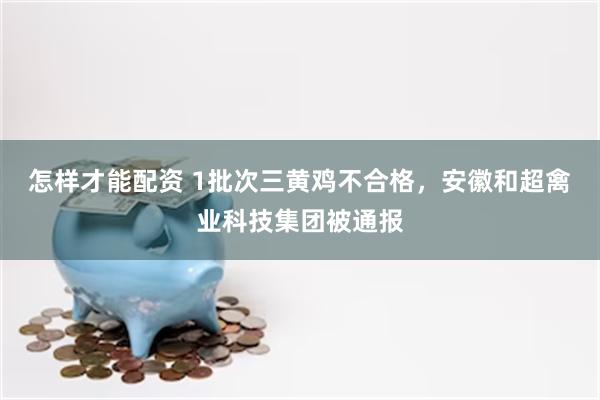 怎样才能配资 1批次三黄鸡不合格，安徽和超禽业科技集团被通报