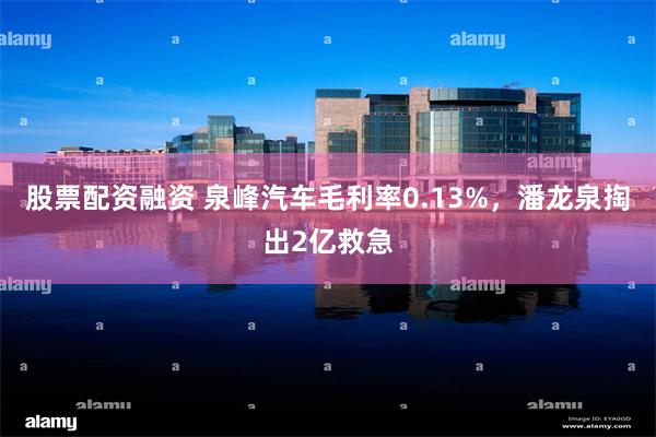 股票配资融资 泉峰汽车毛利率0.13%，潘龙泉掏出2亿救急