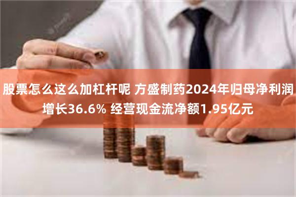 股票怎么这么加杠杆呢 方盛制药2024年归母净利润增长36.6% 经营现金流净额1.95亿元