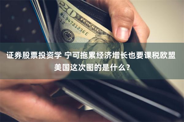 证券股票投资学 宁可拖累经济增长也要课税欧盟 美国这次图的是什么？