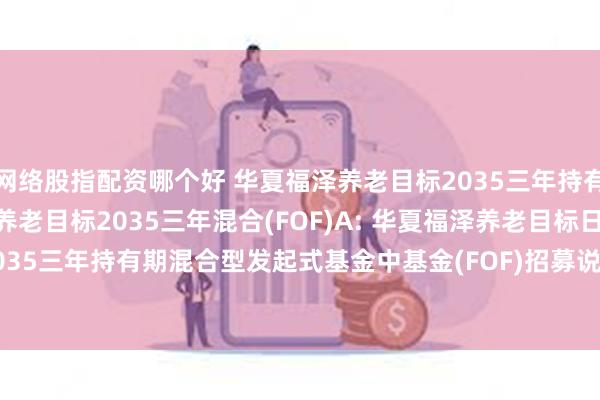网络股指配资哪个好 华夏福泽养老目标2035三年持有混合FOF)Y,华夏福泽养老目标2035三年混合(FOF)A: 华夏福泽养老目标日期2035三年持有期混合型发起式基金中基金(FOF)招募说明书更新(2025年5月30日公告)