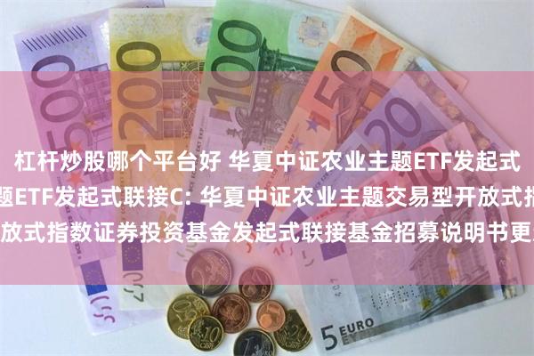 杠杆炒股哪个平台好 华夏中证农业主题ETF发起式联接A,华夏中证农业主题ETF发起式联接C: 华夏中证农业主题交易型开放式指数证券投资基金发起式联接基金招募说明书更新(2025年5月30日公告)