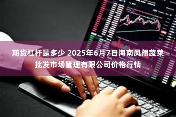 期货杠杆是多少 2025年6月7日海南凤翔蔬菜批发市场管理有限公司价格行情
