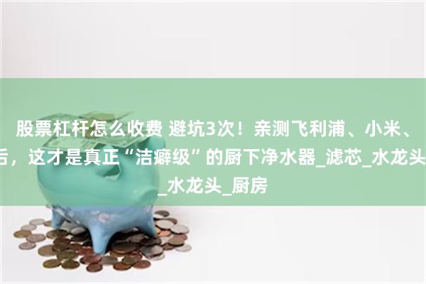 股票杠杆怎么收费 避坑3次！亲测飞利浦、小米、海尔后，这才是真正“洁癖级”的厨下净水器_滤芯_水龙头_厨房
